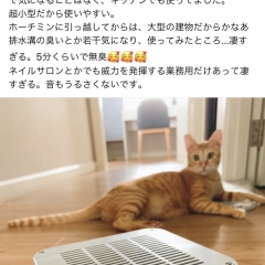 海外でも活躍 シューマンキューブシリーズ!(^^)!